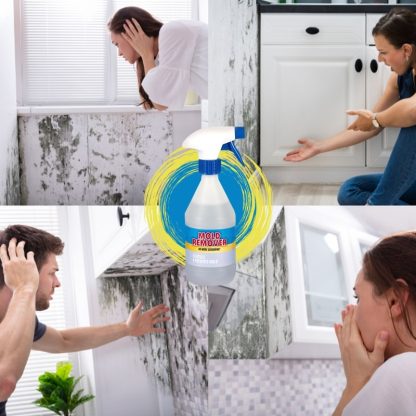 Sprej proti plísni Mold Remover