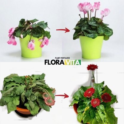 Hnojivo na rostliny Floravita