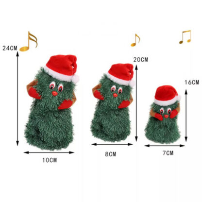 Brad dansator JollyTree-middle