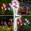 Dekorativni solarni cvetovi LilyFlow