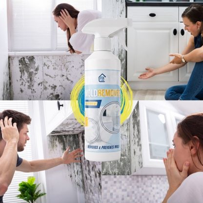 Sprej za odstranjevanje plesni Mold Remover