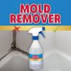 Sprej za preprečevanje plesni Mold Remover