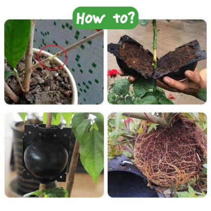 Kroglice za razmnoževanje rastlin GrowBall