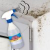 Sprej za preprečevanje plesni Mold Remover