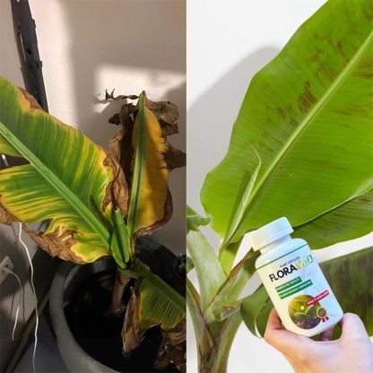 Gnojilo za rastline Floravita