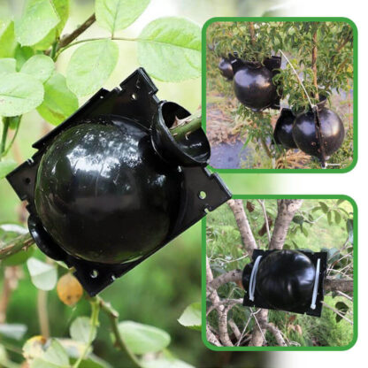 Kroglice za razmnoževanje rastlin GrowBall