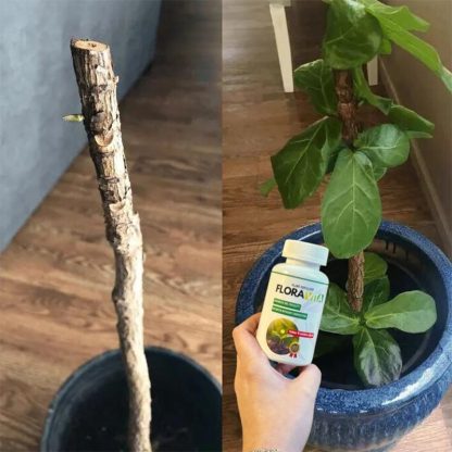 Gnojilo za rastline Floravita