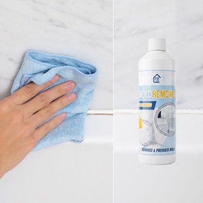 Sprej za odstranjevanje plesni Mold Remover